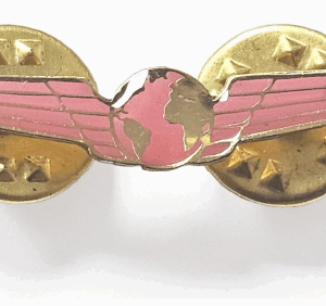 Pin Mundo Rosa (DORADO)